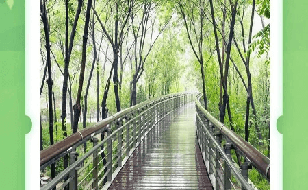 不可辜負的美，與春天有個約會